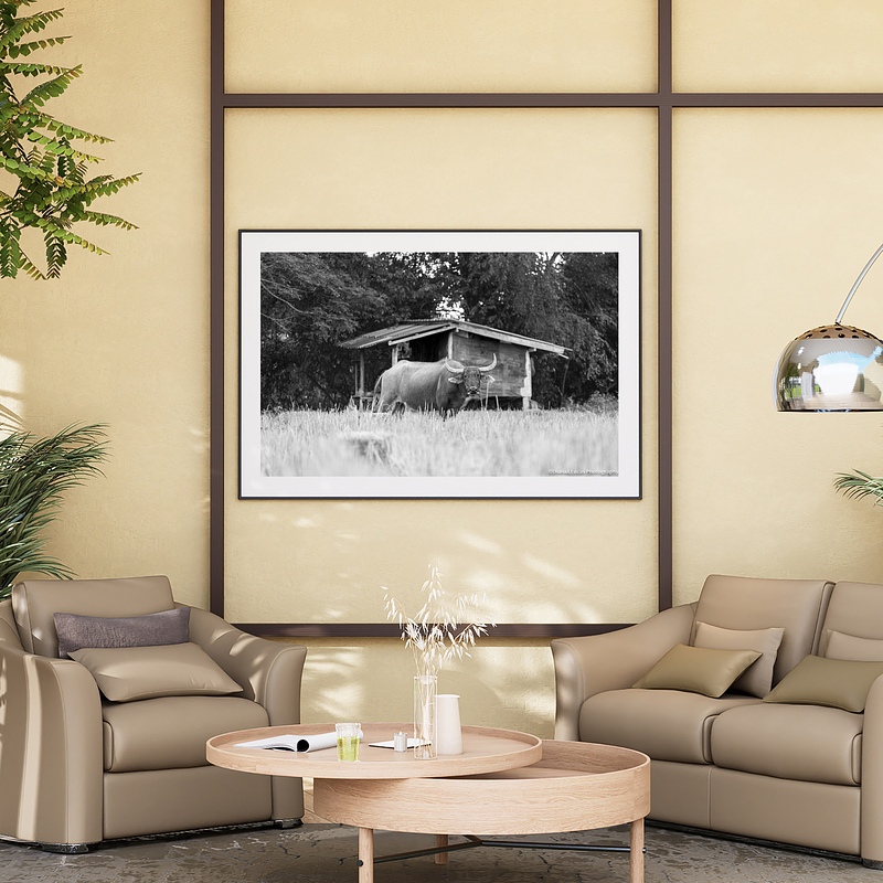 THE ONE - WILDLIFE & NATURE - "Alone in the Field" - LIMITED EDITION 3 of 5