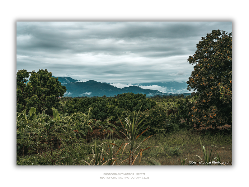 COLLECTION - GIANTS OF THE LAND HORIZONTAL -  "Before the Rain" - LIMITED EDITION 10 of 10