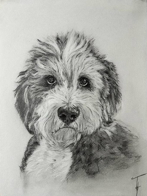 Graphite