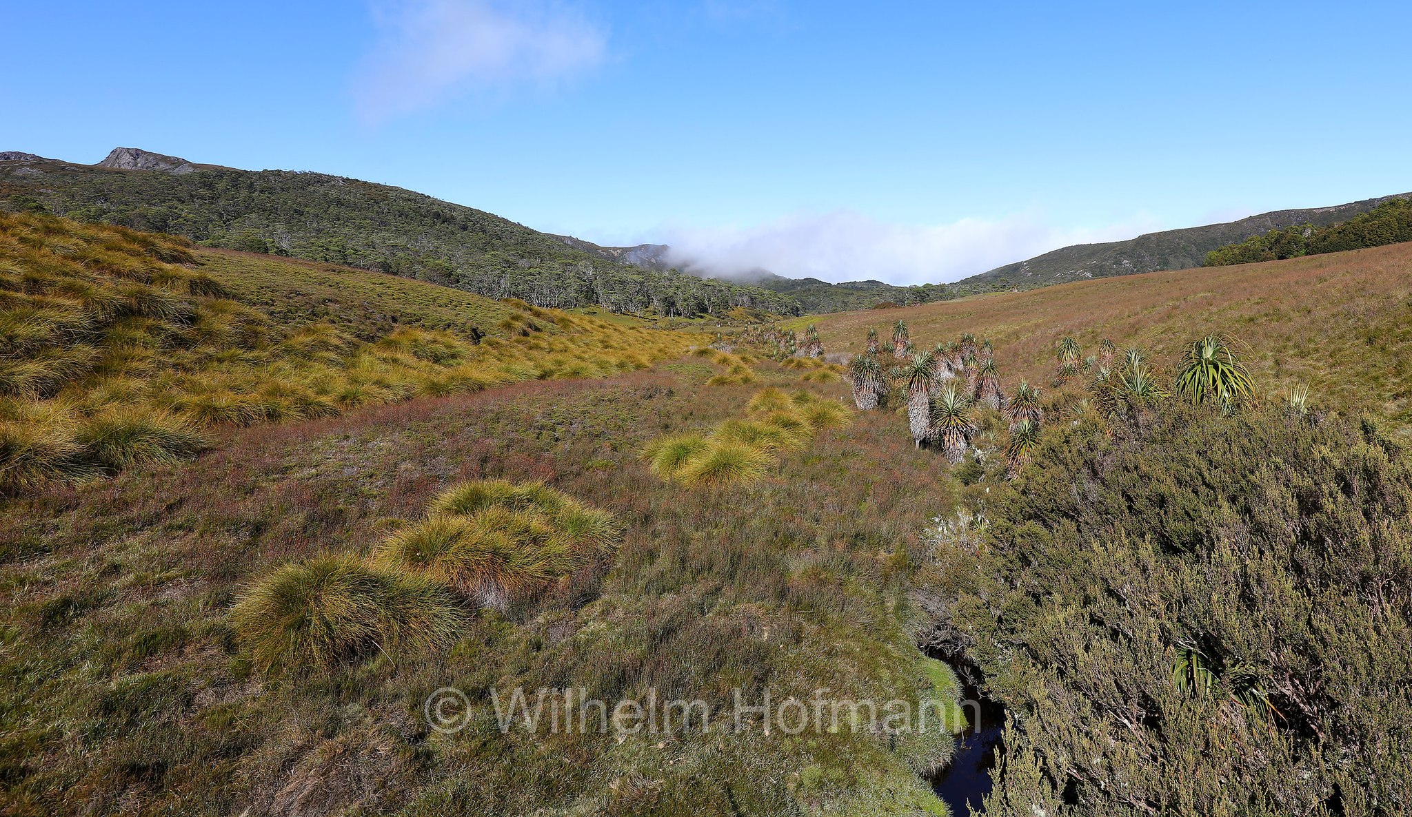Ronny Creek, Overland Track, ﻿Cradle Mountain National Park, Cradle Mountain-Lake St Clair National Park, Cradle-Mountain-Lake-St.-Clair-Nationalpark, Parco nazionale del monte Cradle-lago St Clair, Tasmania, Tasmanien, Australia, Australien