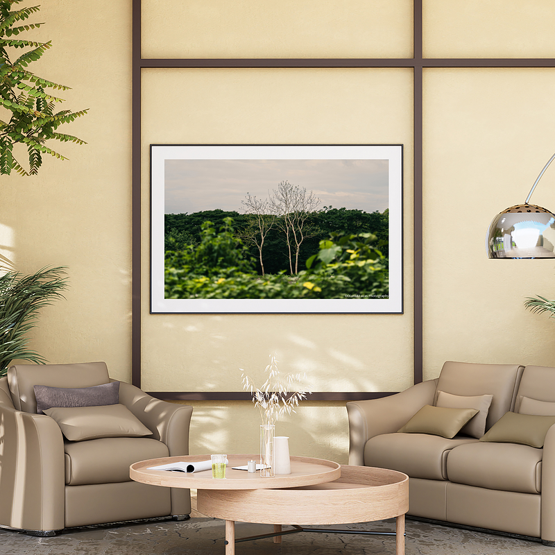 THE ONE - WILDLIFE & NATURE - "Two Trees" - LIMITED EDITION 5 of 5