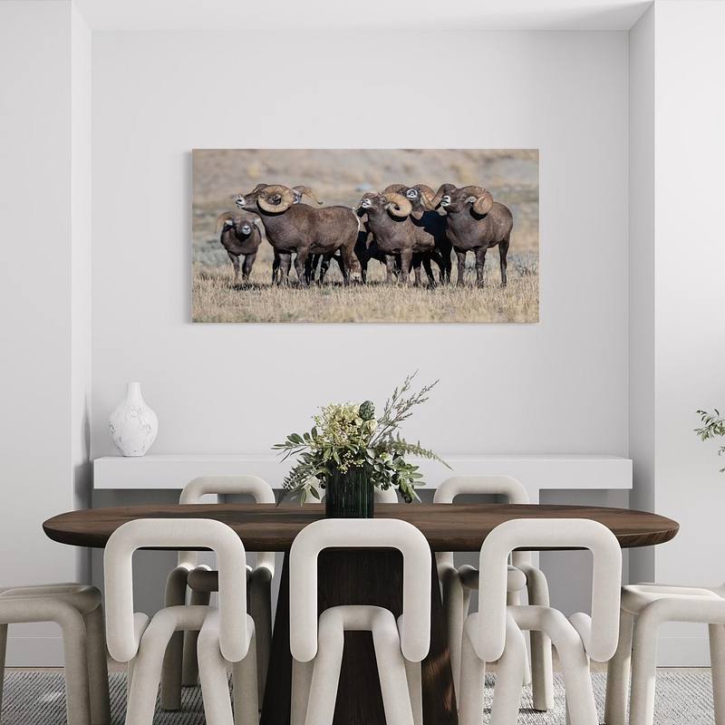Say Cheese (Bighorn Sheep)