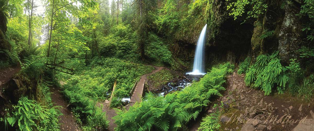 Pacific Northwest fine art photography printed on premium aluminum by Mac & Mallard