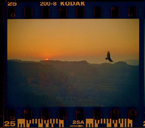 35mm Film