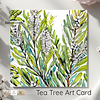 Tea Tree | Botanical Illustration | Art Card | with Envelope