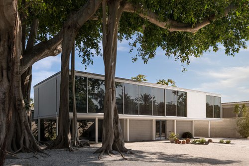 A midcentury modern house shaded by a large banyan tree on Lido Key in Sarasota, Florida, featuring minimalist lines and a gravel courtyard with potted plants