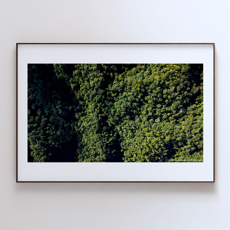 THE ONE - AERIAL PRINTS - "Crown Cover" - LIMITED EDITION 5 of 5