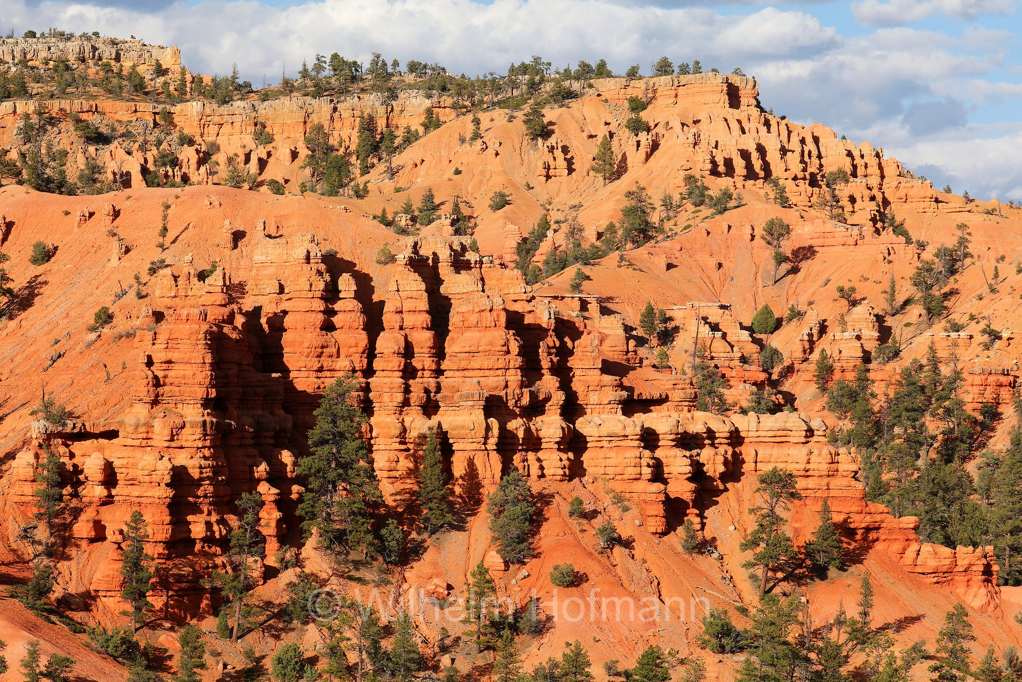 Red Canyon, Dixie National Forest, Utah, USA