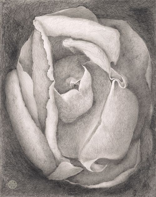 Entropy