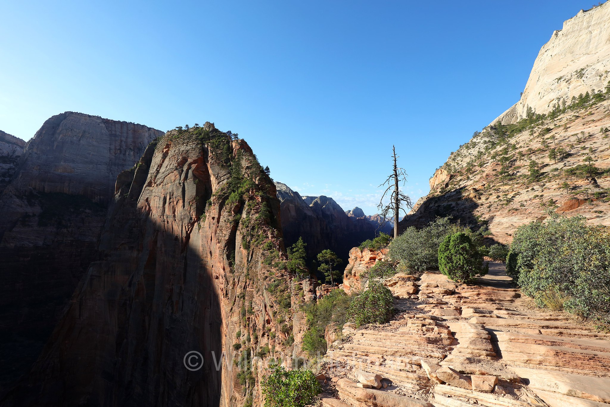 Angel's Landing Trail, ﻿Zion National Park, Zion-Nationalpark, Parco nazionale di Zion, Utah, USA