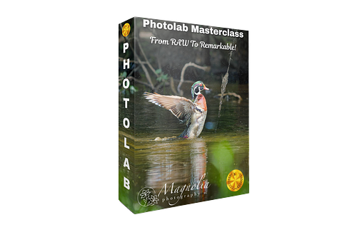 PhotoLab 10 Masterclass Coming Soon!!
