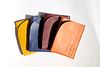 Skins: Verona EDC Minimalist Card Wallet