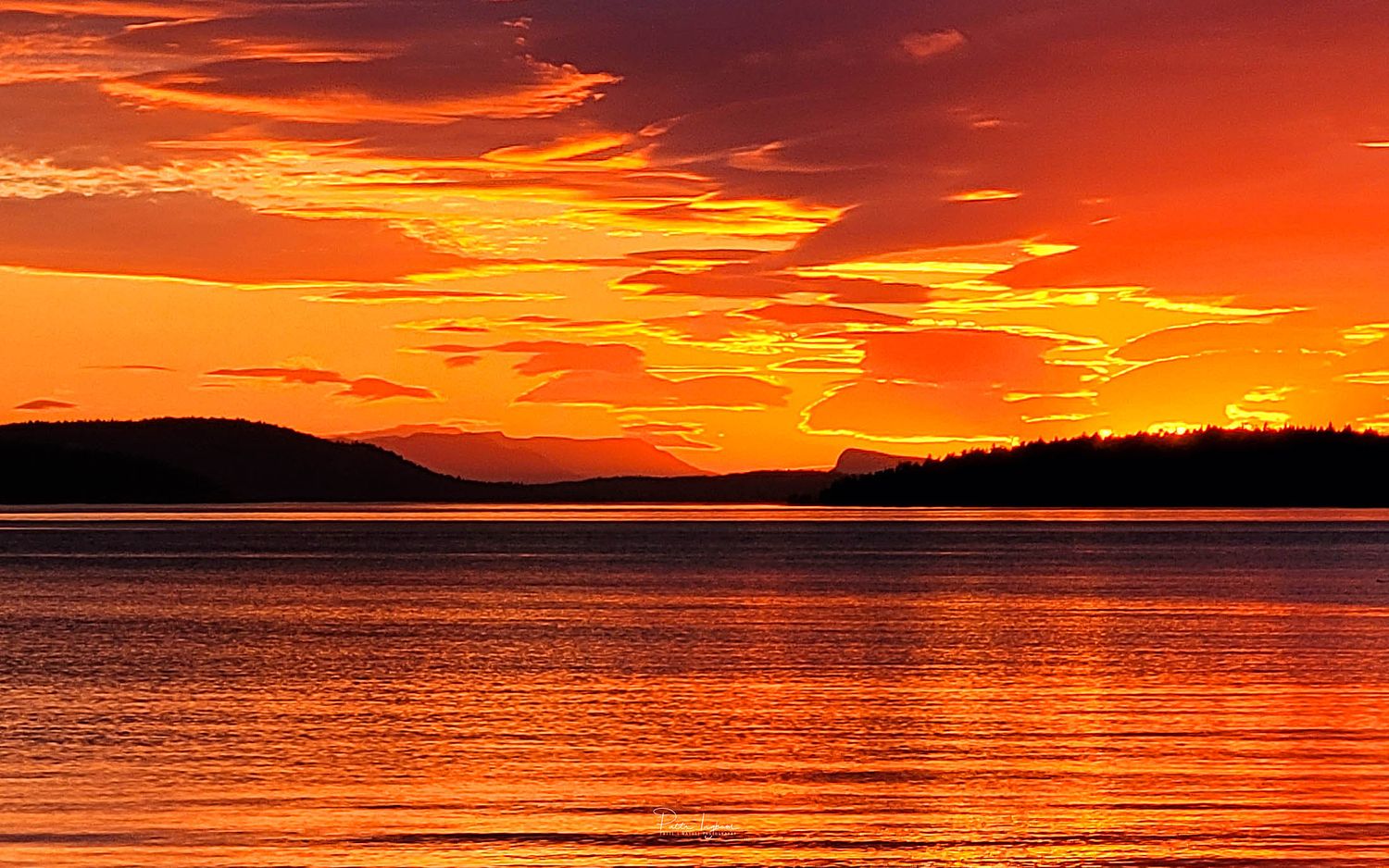 Patti's Nature Photography