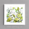 Bergamot Fruit And Flowers | Botanical Art Print