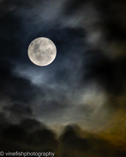 MOON
