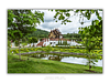 THE ONE - QUIET ICONS - "Temple Gardens" - LIMITED EDITION 5 of 5