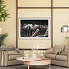 THE ONE - WILDLIFE & NATURE - "Behind the Fence" - LIMITED EDITION 5 of 5