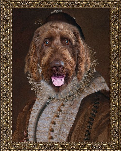 Count Kevin of Bridgerton