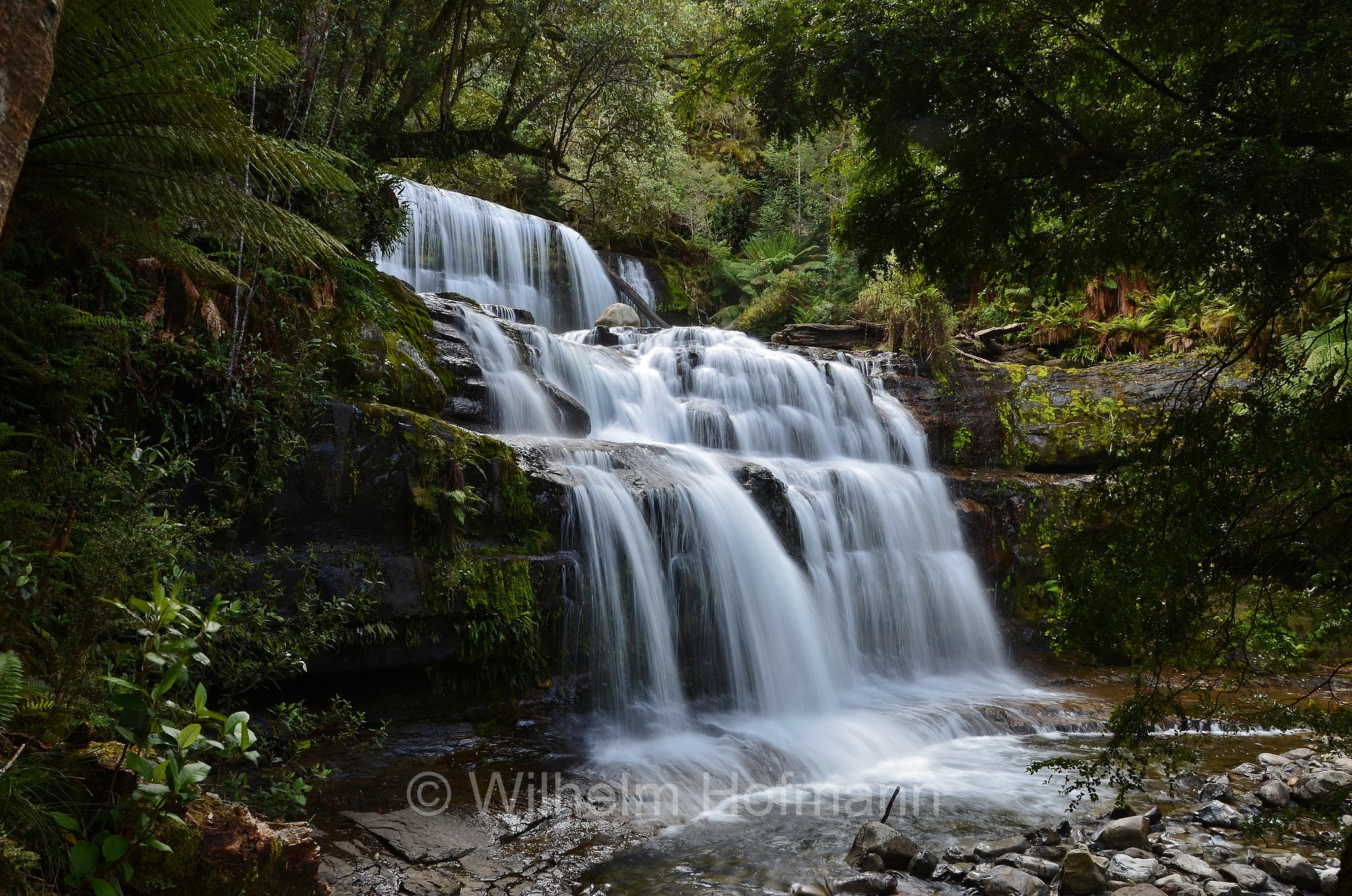 Liffey Falls, ﻿Tasmania, Tasmanien, Australia, Australien