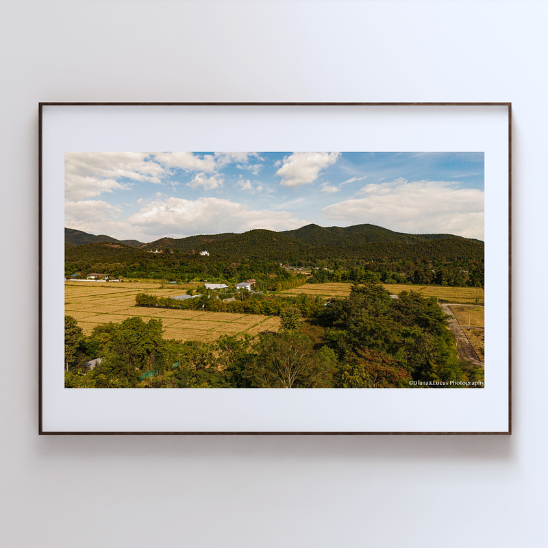 COLLECTION - FROM ABOVE HORIZONTAL - "The Quiet Valley" - LIMITED EDITION 10 of 10