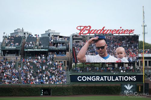 David Ross Retirement