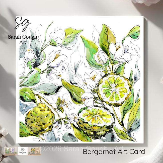 Bergamot Fruit and Flowers | Botanical Illustration | Floral Art Card | with Envelope