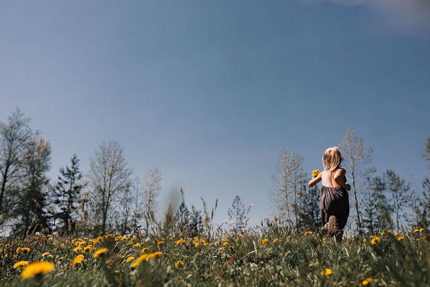 Marissa Jillian Photography