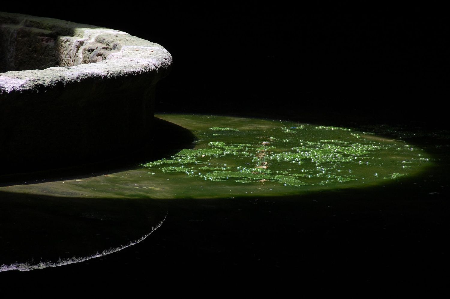 E.A.N. Opportunistic Photography