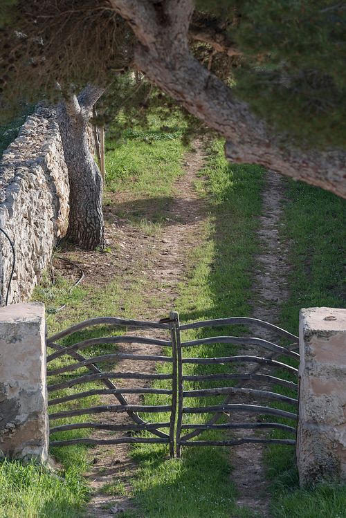 Chemin d’accès bordé de murs en pierre sèche et barrière en bois dans une finca d’agrotourisme à Santa Ponça, Minorque. Photographie par Nicolas Karadimos.