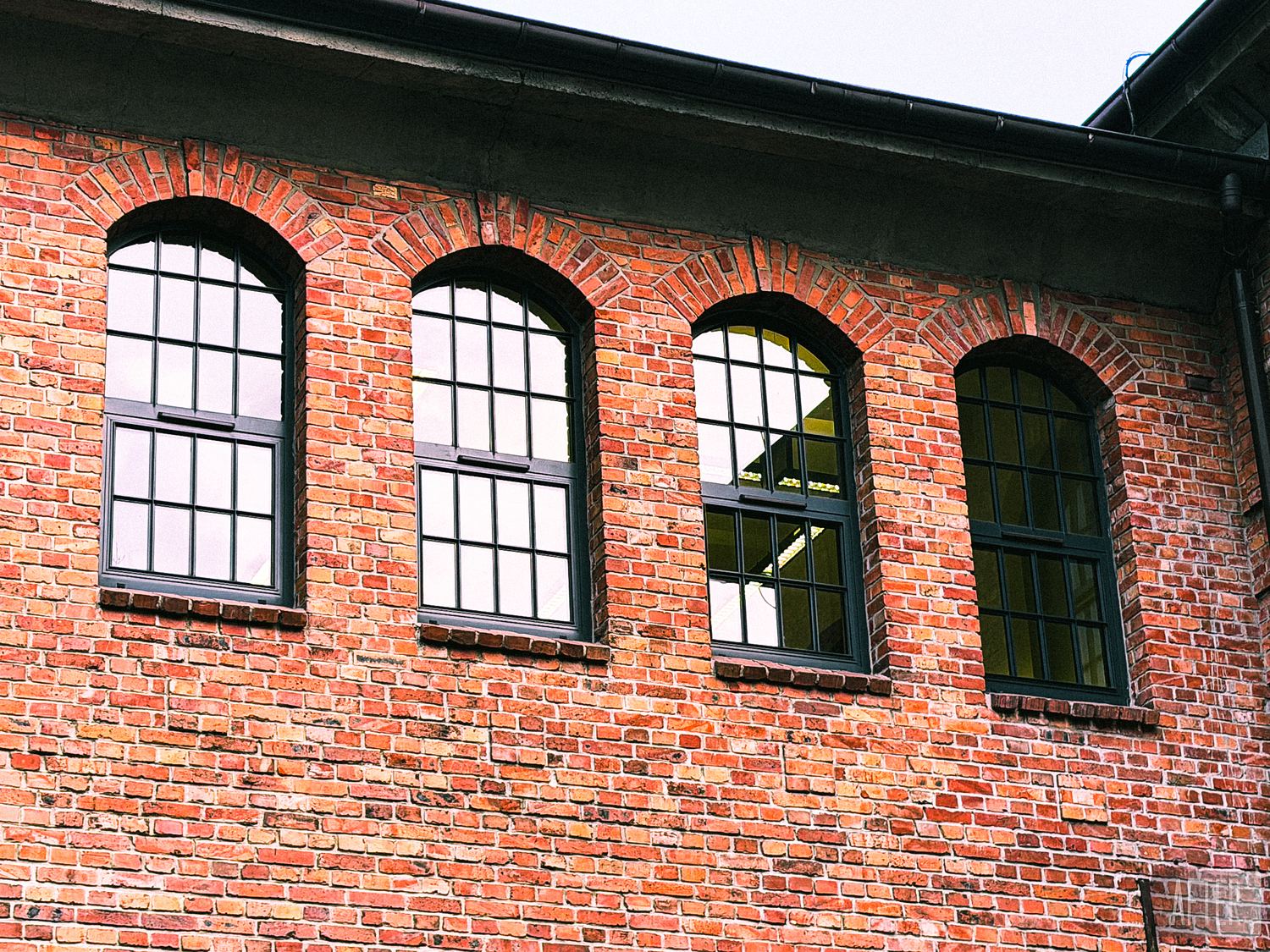 FUJICOLOR