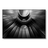 Alatum