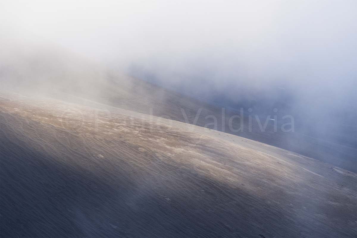 _DSF9505_2026_P3