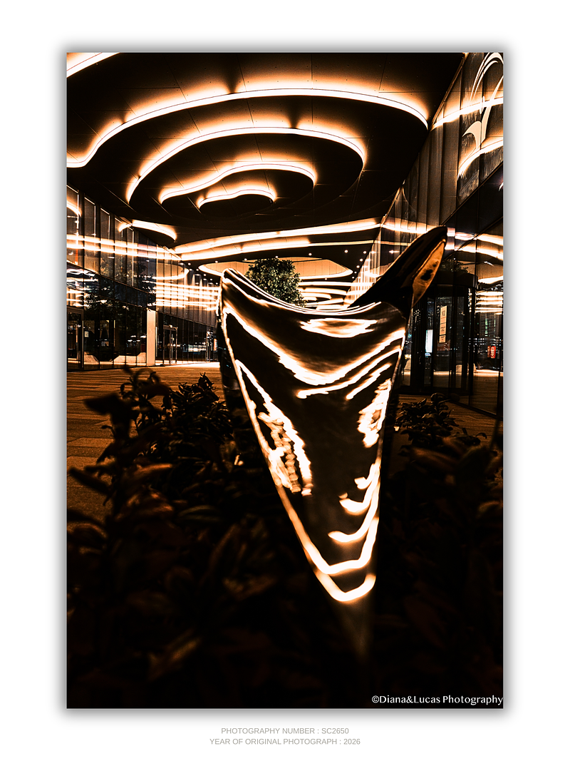 COLLECTION - URBAN GEOMETRY VERTICAL - "Under the Rings" - LIMITED EDITION 10 of 10
