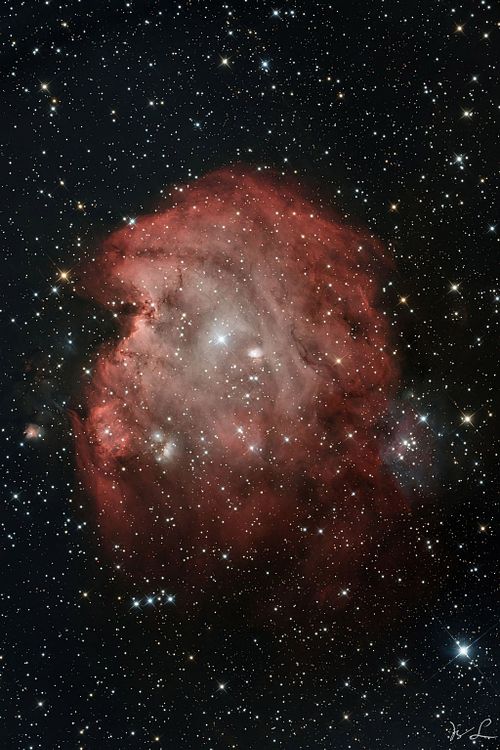 NGC 2174  -  Monkey Head Nebula