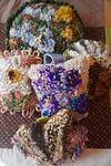 just beyond the garden: charm