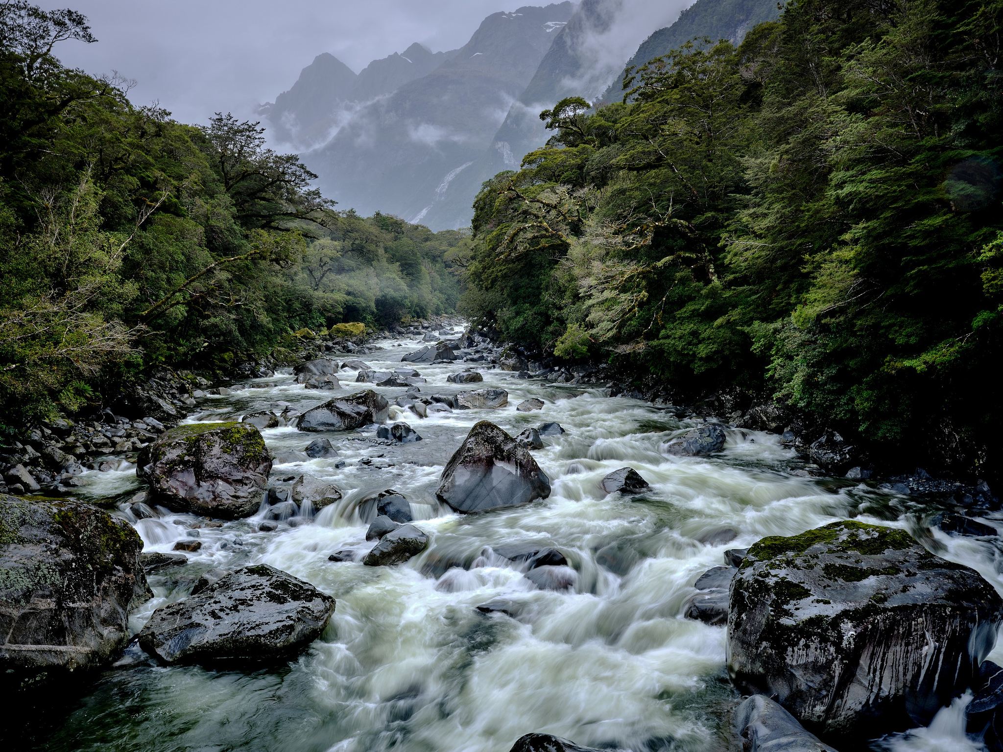 Donne River from Donne River Bridge - Milford Sound, New Zealand
