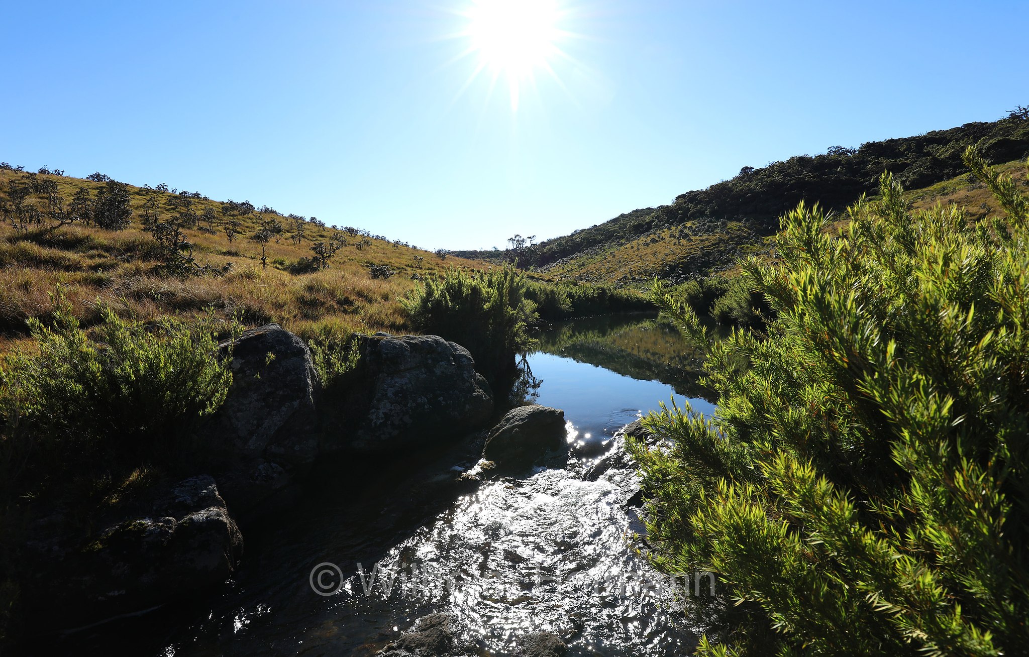 Horton Plains National Park, Horton-Plains-Nationalpark, parco nazionale Horton Plains, Sri Lanka