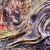 Abstracte natuurfotografie (4 juli 2026)
