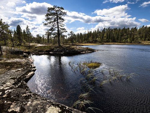 Naturwaldreservat Trillemarka