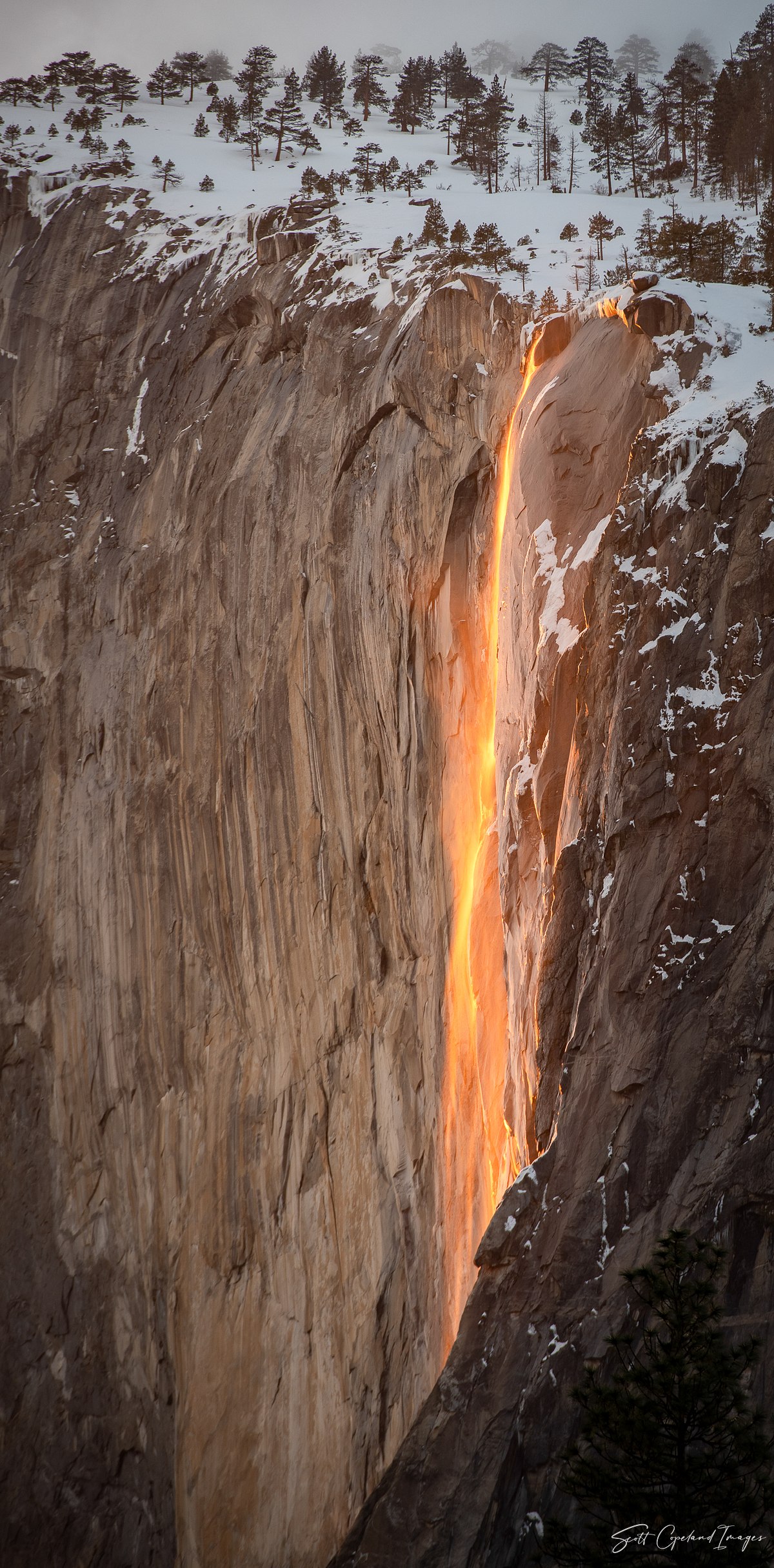 A Firefall Portrait